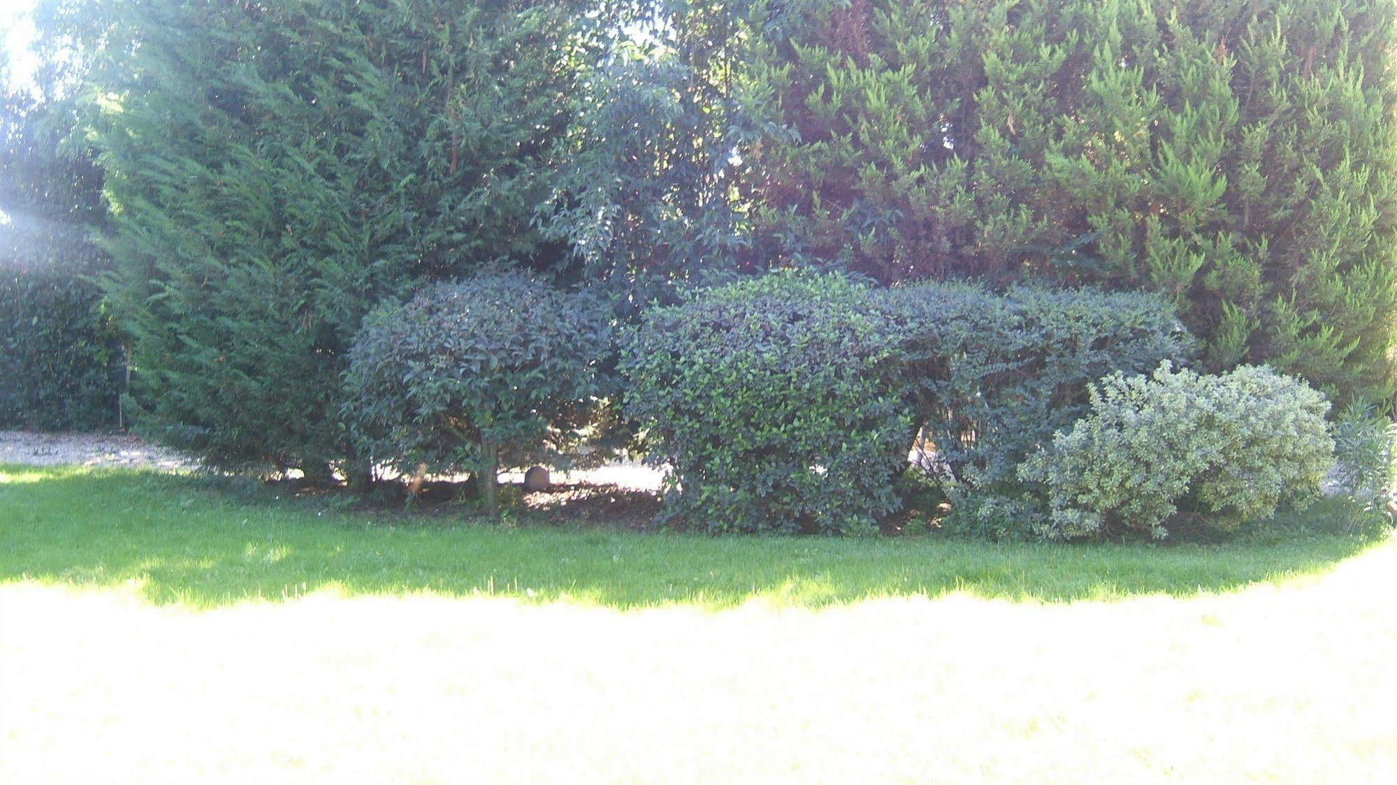 Locanda Canareggio San Biagio di Callalta Εξωτερικό φωτογραφία